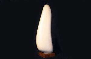 Avorio, 1950
